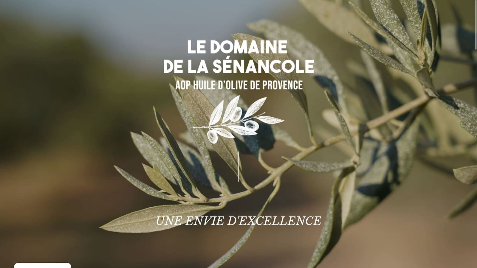 Site web WordPress Domaine de la Sénancole Huiles d'Olive de Provence