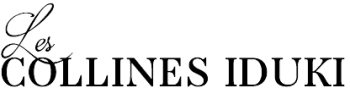 https://www.rezo21.net/wp-content/uploads/2024/10/brand_logo.png