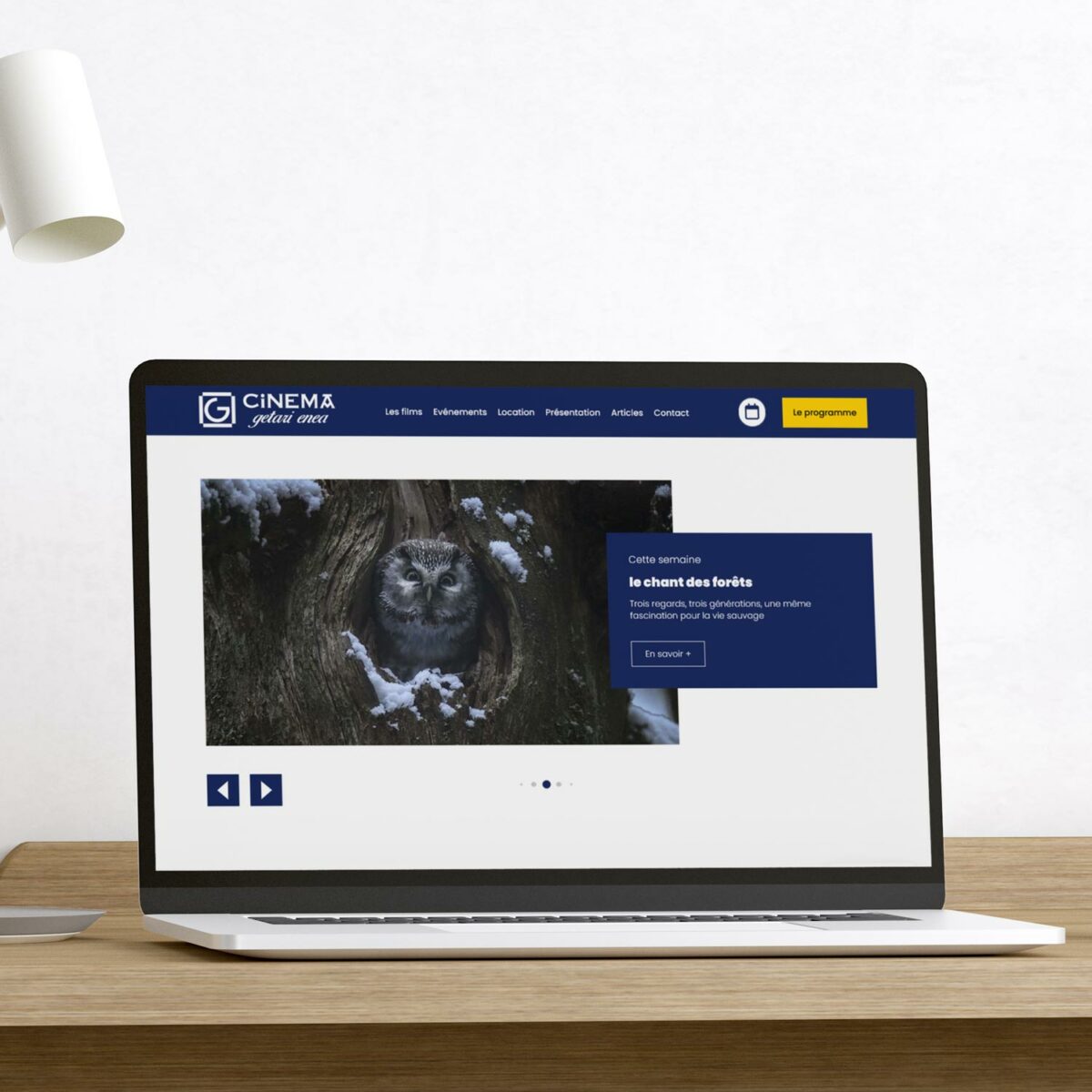 Ordinateur affichant site cinéma et hibou dans forêt.